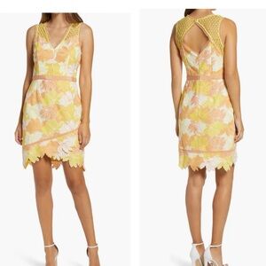 Adelyn Rae Jazlyn Sleeveless Yellow White Peach Floral Lace Sheath Dress Medium